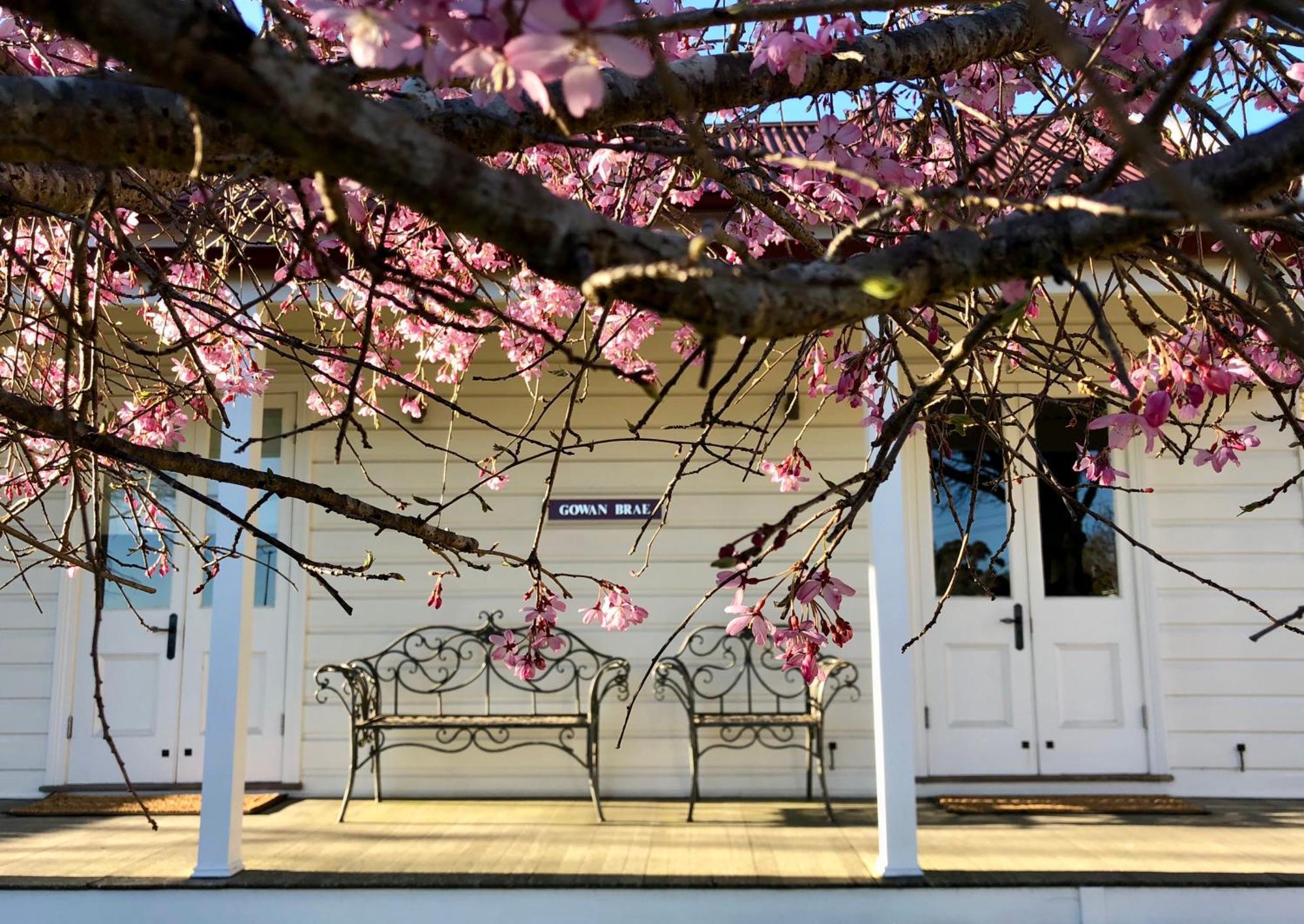 Gowan Brae Cottage 肯图巴 外观 照片